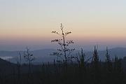 Paul SEQUENCE Ferguson             sequence dot net - Dusk